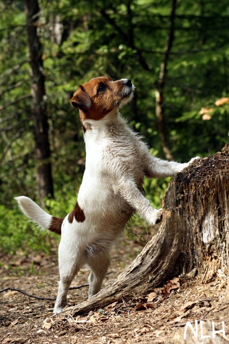 110514 lilli.jpg - Muddy Lilli